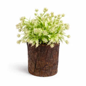 BT-22 wooden-flower-vase-1-2