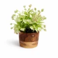 BT-21 Wooden Planter (2)