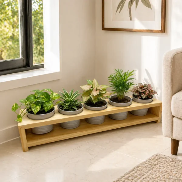 BT-43 Planter 5 In1 (2) BT-43 Planter 5 In1 (2)